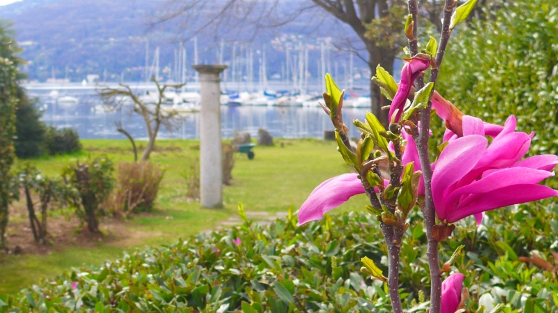 The Gulf Villa -Lago Maggiore Casa Vacanza