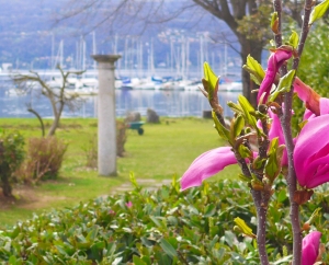 The Gulf Villa -Lago Maggiore
