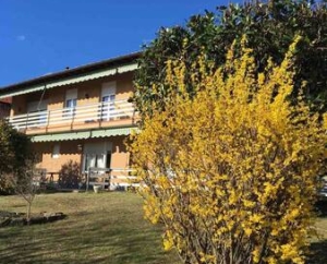Villetta Le Magnolie