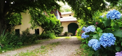 CASALE DEL CANTICO